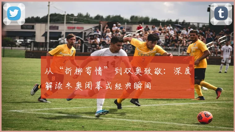 从“折柳寄情”到双奥致敬：深度解读冬奥闭幕式经典瞬间